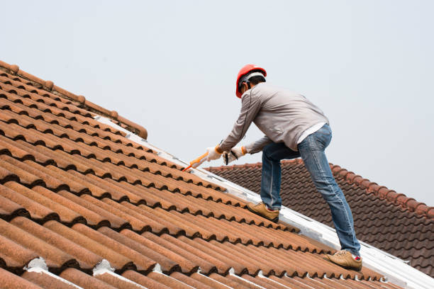 Professional Roofing services in Central City, IL