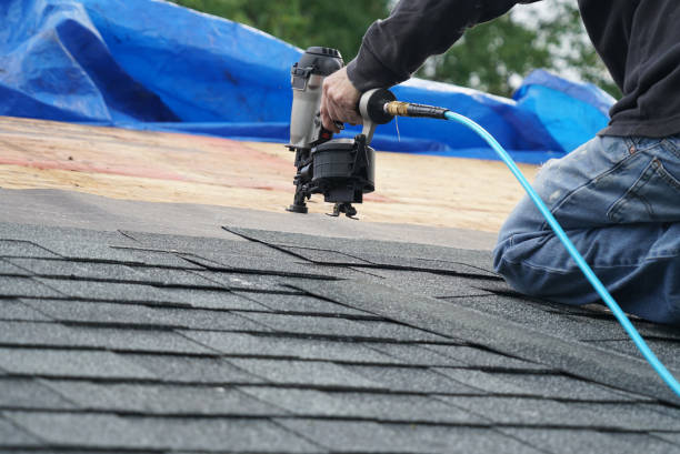 Best Solar Panel Roofing Installation  in Central City, IL